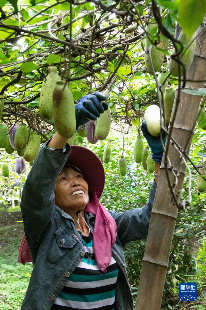 百老汇app下载